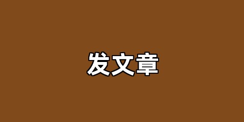 发文章